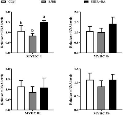 Effects of adding bile acids to dietary storage japonica brown rice on growth performance, meat quality, and intestinal microbiota of growing–finishing Min pigs
